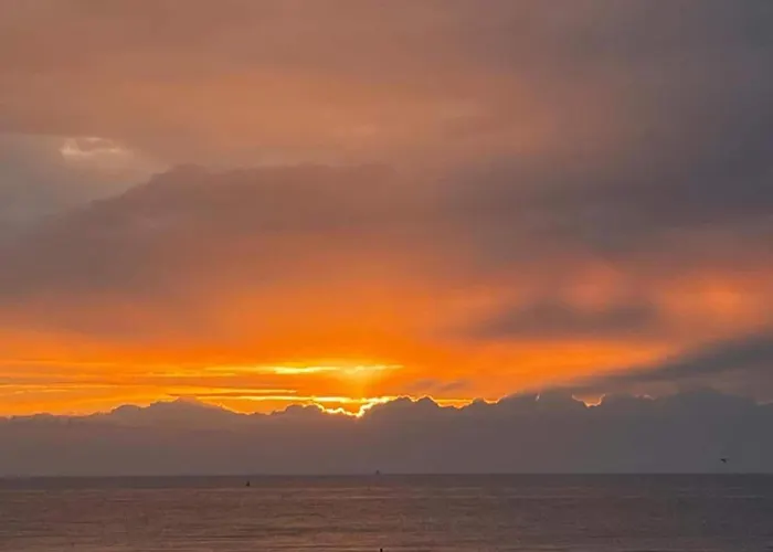 Penthouse In Belgium With Marina Views