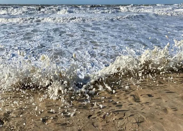 Apartment Penthouse In Belgium With Marina Views Ostend