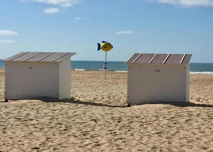 Penthouse In Belgium With Marina Views