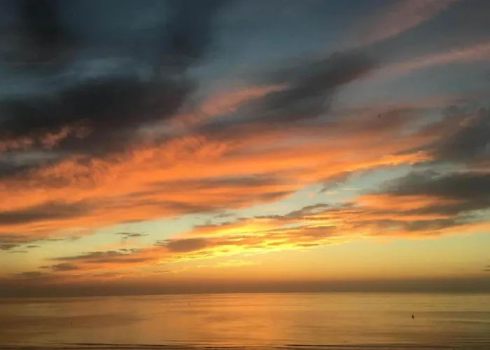 Penthouse In Belgium With Marina Views Apartment