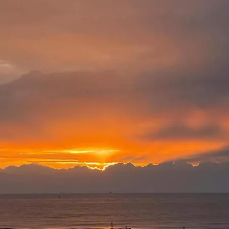 Penthouse In Belgium With Marina Views