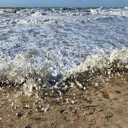 Appartamento Penthouse In Belgium With Marina Views Ostenda